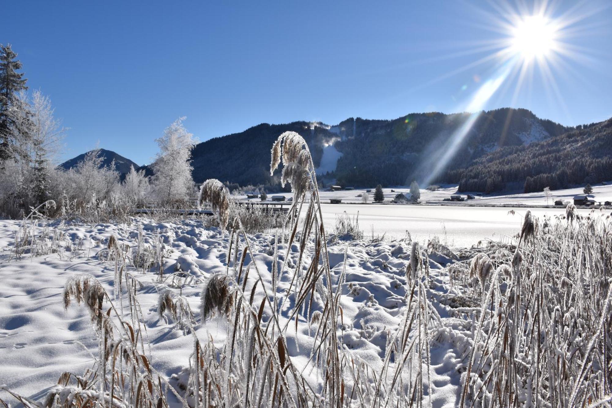Haus Binder * Weissensee